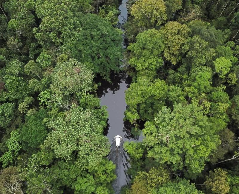 Amazon River_converted